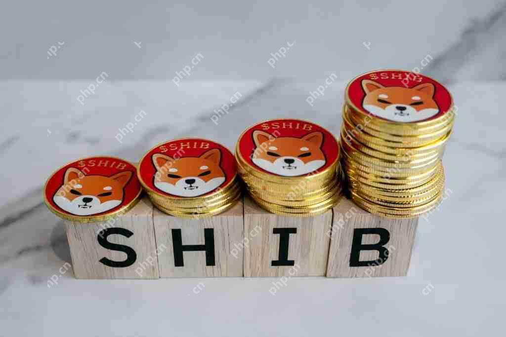 Shibarium是Shiba INU Shib/USD的2层区块链,报告的交易增加了54%